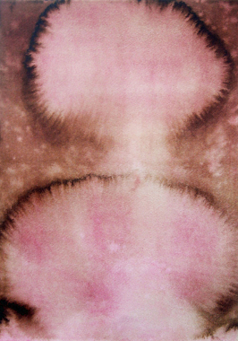 ANTO_LOGIE, NR. 8 | anto_logie, no. 8